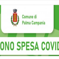 Palma Campania : erogati i Buoni Spesa Covid, la validità scatta lunedi 10 alle ore 16:00.