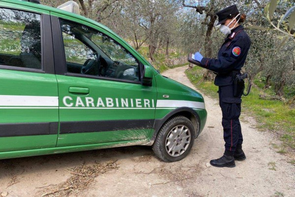 Abusivismo edilizio alle pendici del Vesuvio: denuncia dei Carabinieri Forestali
